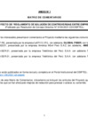 Vista preliminar de documento  Matriz de Comentarios 