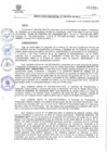 Vista preliminar de documento RG-326-2020-MDC.pdf
