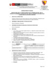 Vista preliminar de documento Convocatoria 024 OPP 1 ADMINISTRATIVO