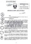 Vista preliminar de documento Resolución Jefatural 038-2019-JEINS-CONIDA