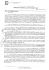 Vista preliminar de documento Resolución de la Gerencia de Desarrollo Económico Local N° 0756-2021/MPS-GDEL