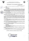 Vista preliminar de documento RESOLUCION DE ALCALDIA N° 315-2021-MDY.pdf