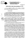 Vista preliminar de documento Resolución Directoral N° 00914-2019