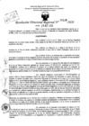 Vista preliminar de documento Resolución Directoral N° 08328-2020