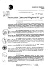 Vista preliminar de documento Resolución Directoral N° 07939-2020
