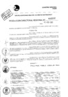 Vista preliminar de documento Resolución Directoral N° 02132-2021