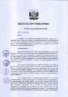 Vista preliminar de documento RD 045-2019