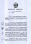 Vista preliminar de documento RD 049-2019