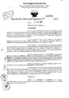 Vista preliminar de documento Resolución Directoral N° 03779-2021