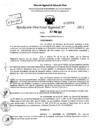 Vista preliminar de documento Resolución Directoral N° 03784-2021