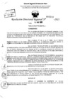 Vista preliminar de documento Resolución Directoral N° 03787-2021