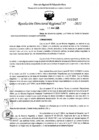 Vista preliminar de documento Resolución Directoral N° 03797-2021