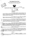 Vista preliminar de documento Resolución Directoral N° 03799-2021