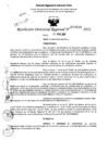 Vista preliminar de documento Resolución Directoral N° 03800-2021