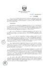 Vista preliminar de documento RD_0025_2019_MEM_DGAAE