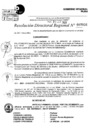 Vista preliminar de documento Resolución Directoral N° 07036-2021