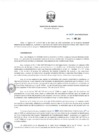 Vista preliminar de documento RD_0017_2019_MEM_DGAAE