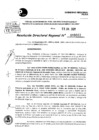 Vista preliminar de documento Resolución Directoral N° 08003-2021