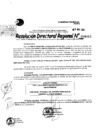 Vista preliminar de documento Resolución Directoral N° 08313-2021