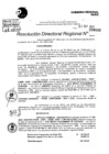 Vista preliminar de documento Resolución Directoral N° 08632-2021