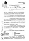 Vista preliminar de documento Resolución Directoral N° 08804-2020