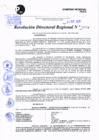 Vista preliminar de documento Resolución Directoral N° 08954-2020