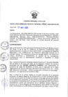 Vista preliminar de documento 234-2022-GG.pdf