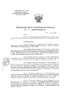 Vista preliminar de documento 45 - RESOLUCION.pdf