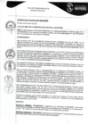 Vista preliminar de documento DA 007-2022.pdf