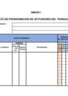 Vista preliminar de documento AnexoI_Formatodeprogramaciónfirmado.pdf