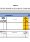 Vista preliminar de documento AnexoII_Formatodeejecuciónfirmado.pdf