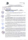 Vista preliminar de documento Resolución Directoral N° 02644-2021