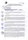 Vista preliminar de documento Resolución Directoral N° 03017-2021