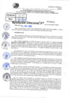 Vista preliminar de documento Resolución Directoral N° 30333-2021
