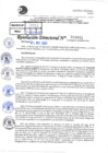 Vista preliminar de documento Resolución Directoral N° 03032-2021