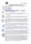 Vista preliminar de documento Resolución Directoral N° 03019-2021