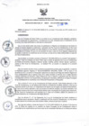 Vista preliminar de documento Resolución Directoral N° 00010-2015
