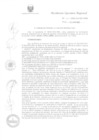 Vista preliminar de documento R.E.R. Nro 234-2022-GR-GR PUNO.pdf