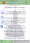 Vista preliminar de documento Resolución de Alcaldía Nº 043-2022-MPVHA.pdf