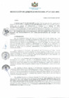 Vista preliminar de documento RESOLUCIONES-GERENCIALES-217-2021-MPC.pdf
