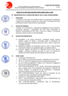 Vista preliminar de documento DIRECTIVA  N° 02-2022 