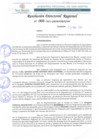 Vista preliminar de documento RDR 006-2022
