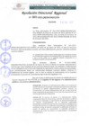 Vista preliminar de documento RDR 001-2022