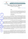 Vista preliminar de documento RDR 010-2022