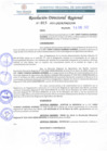 Vista preliminar de documento RDR 015-2022