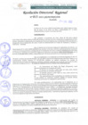 Vista preliminar de documento RDR 013-2022