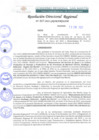 Vista preliminar de documento RDR 017-2022
