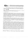 Vista preliminar de documento Resolución Directoral N° 00028-2012