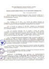 Vista preliminar de documento Resolución Directoral N° 00028-2010