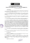 Vista preliminar de documento Resolución Directoral N° 00089-2010